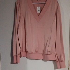 Express Blush V-Neck Top